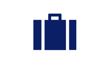 Blue Baggage icon