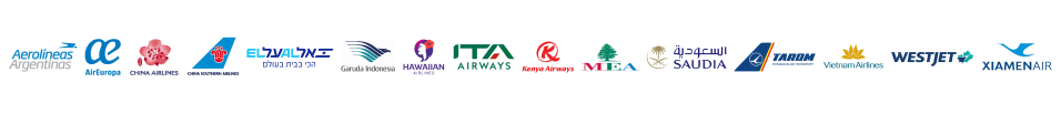 Global airline logo