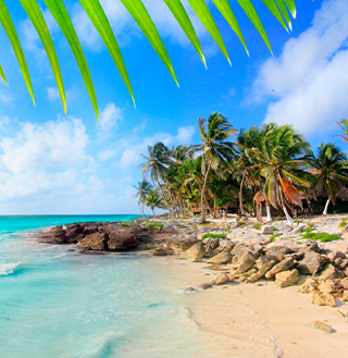 Rocky beach with palm trees in Punta Cana.